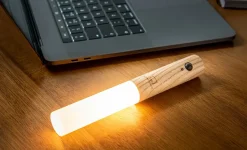 - Smart Baton Light White Ash*Gingko New