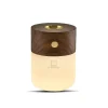 - Smart Diffuser Lamp Walnut^Gingko Outlet