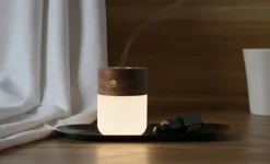 - Smart Diffuser Lamp Walnut^Gingko Outlet