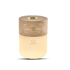 - Smart Diffuser Lamp White Ash*Gingko Online