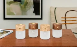 - Smart Diffuser Lamp White Ash*Gingko Online