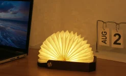 - Smart Origami Lamp - Walnut^Gingko