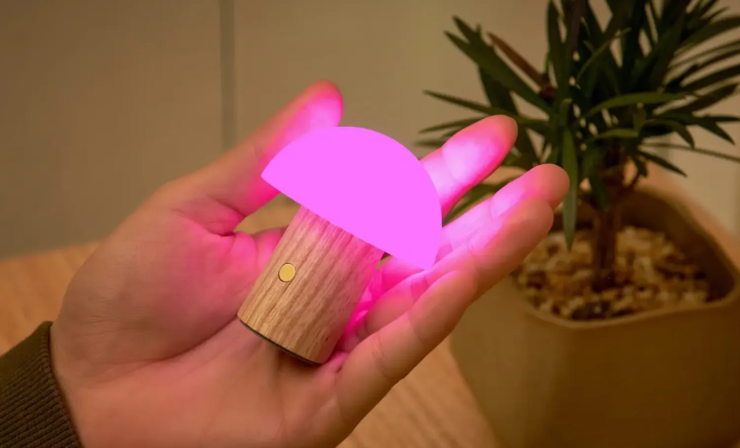 - Super Mini Alice Mushroom Lamp - White Ash^Gingko Best