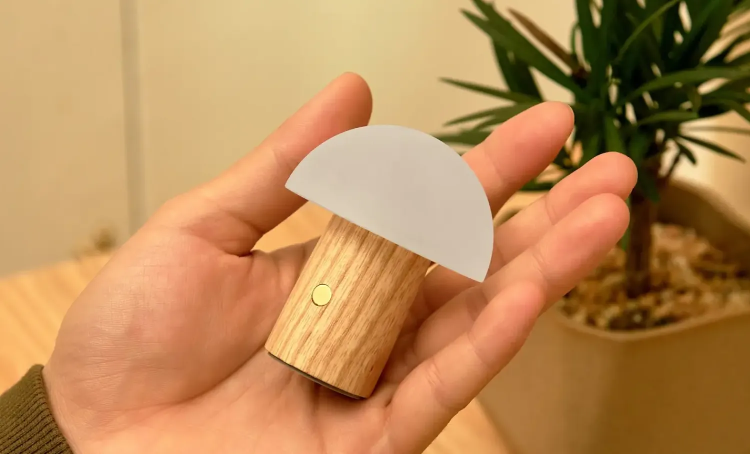 - Super Mini Alice Mushroom Lamp - White Ash^Gingko Best