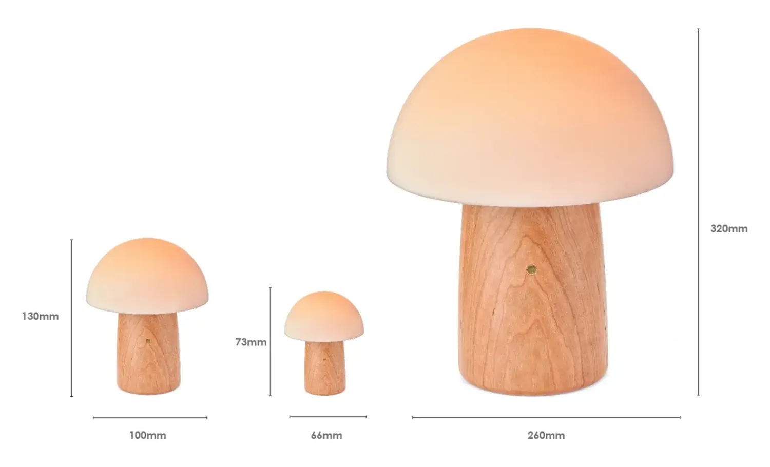 - Super Mini Alice Mushroom Lamp - White Ash^Gingko Best