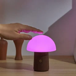 - Super Mini Alice Mushroom Lamp - Walnut*Gingko Best