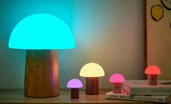 - Super Mini Alice Mushroom Lamp - Walnut*Gingko Best