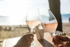 - Vinglas - Brudsikkert Plastik - 28cl^glassFORever Discount