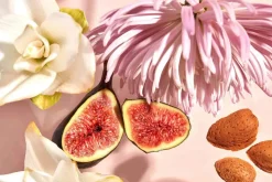 - Body Oil - Tales of Lotus - 100 ml*Haan Hot