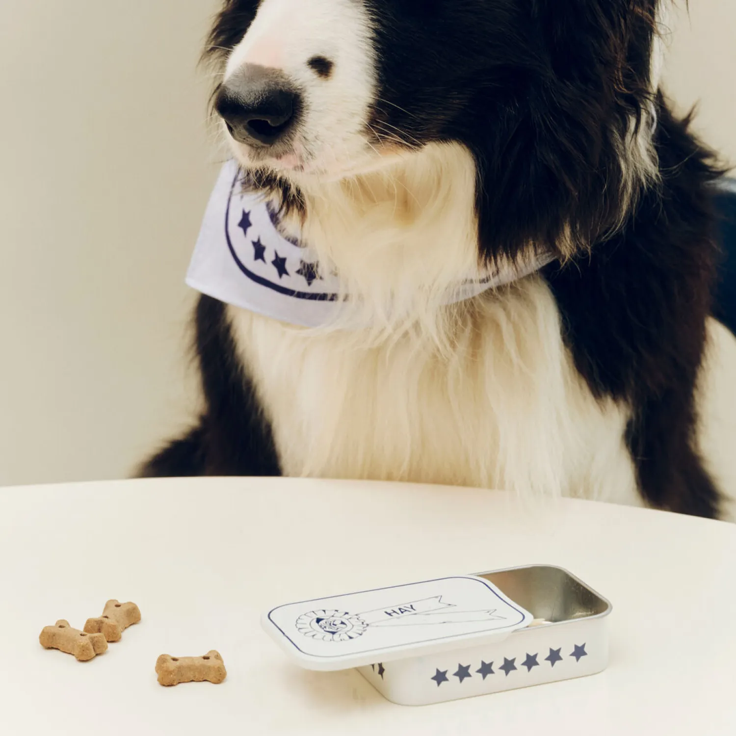 - Dogs Treat Tin - Small - Blå/hvid^Hay Clearance