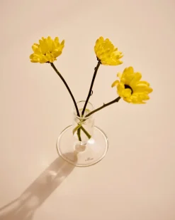 - Vase - Tiny - Clear - Højde 8,6^Hay Discount