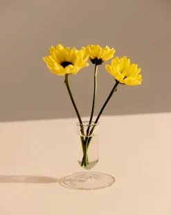 - Vase - Tiny - Clear - Højde 8,6^Hay Discount