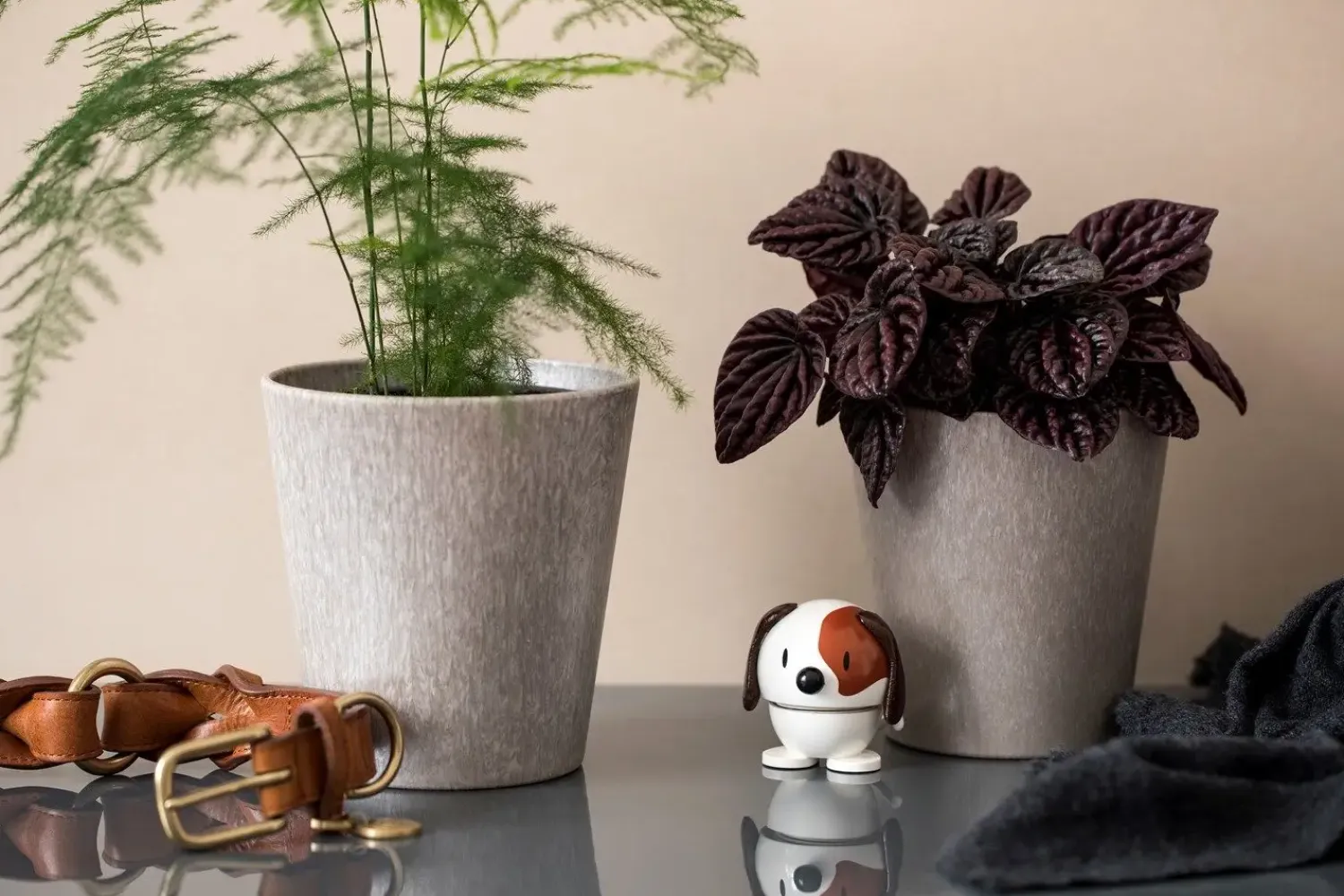 - Animals - Dog, hvid*Hoptimist Best