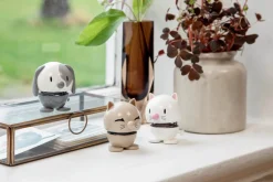 - Animals - kat, latte*Hoptimist New