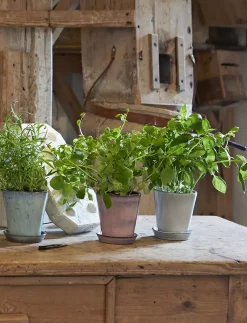 - urtepotteskjuler Ø 10.5 cm rose*Knabstrup Keramik Outlet