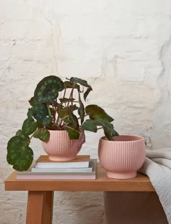 - urtepotteskjuler Ø 18 cm ripple rose^Knabstrup Keramik Best