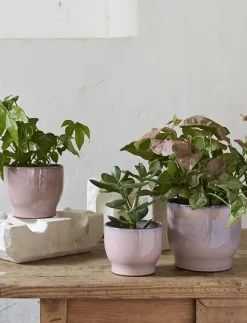 - urtepotteskjuler Ø 16.5 cm rose*Knabstrup Keramik Outlet