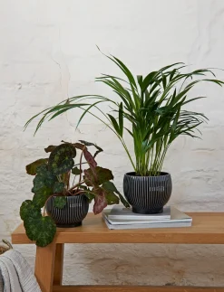 - urtepotteskjuler Ø 16 cm ripple black*Knabstrup Keramik Hot