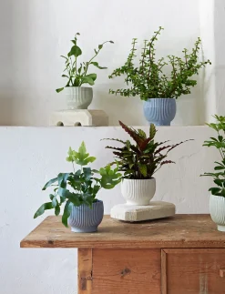 - urtepotteskjuler Ø 18 cm ripple mint*Knabstrup Keramik Online