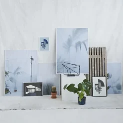 - Ball Cactus II - poster 50x70 cm^Kristina Dam Online