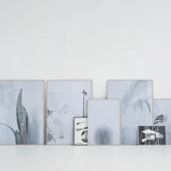 - Ball Cactus II - poster 50x70 cm^Kristina Dam Online