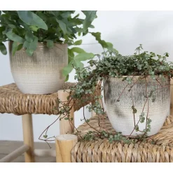 - Mia potte, stor^La Vida Hot