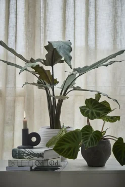 - Catharinia skjuler H20 cm.^Lene Bjerre Hot