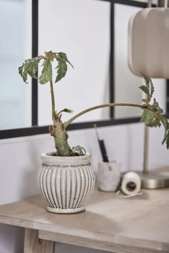 - Ellia krukke 6x6 cm. sand marmor*Lene Bjerre Hot