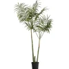 - Flora kentia palme H185 cm. grøn^Lene Bjerre New