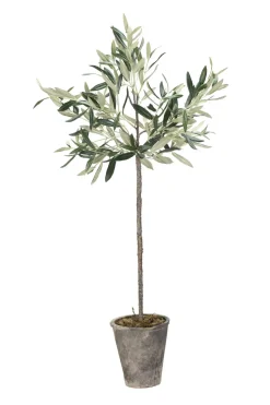 - Oliventræ Flora - 73 cm.*Lene Bjerre Online