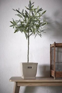 - Oliventræ Flora - 73 cm.*Lene Bjerre Online