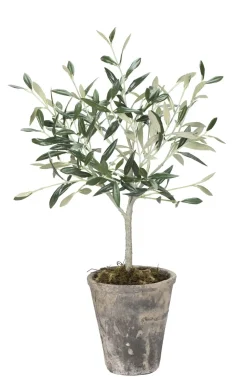 - Oliventræ Flora - 44 cm.^Lene Bjerre Clearance