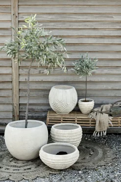 - Oliventræ Flora - 44 cm.^Lene Bjerre Clearance