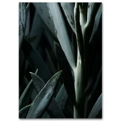 plakat - Plants plakat Blue Succulent 1 A3*Martin Moore Best