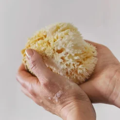 - OCEAN Silke fine ansigtssvampe, lette, 5-pak, Light*Mette Ditmer Online