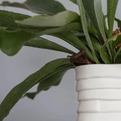 - RIBBON Vase - Large - Off-white^Mette Ditmer Outlet