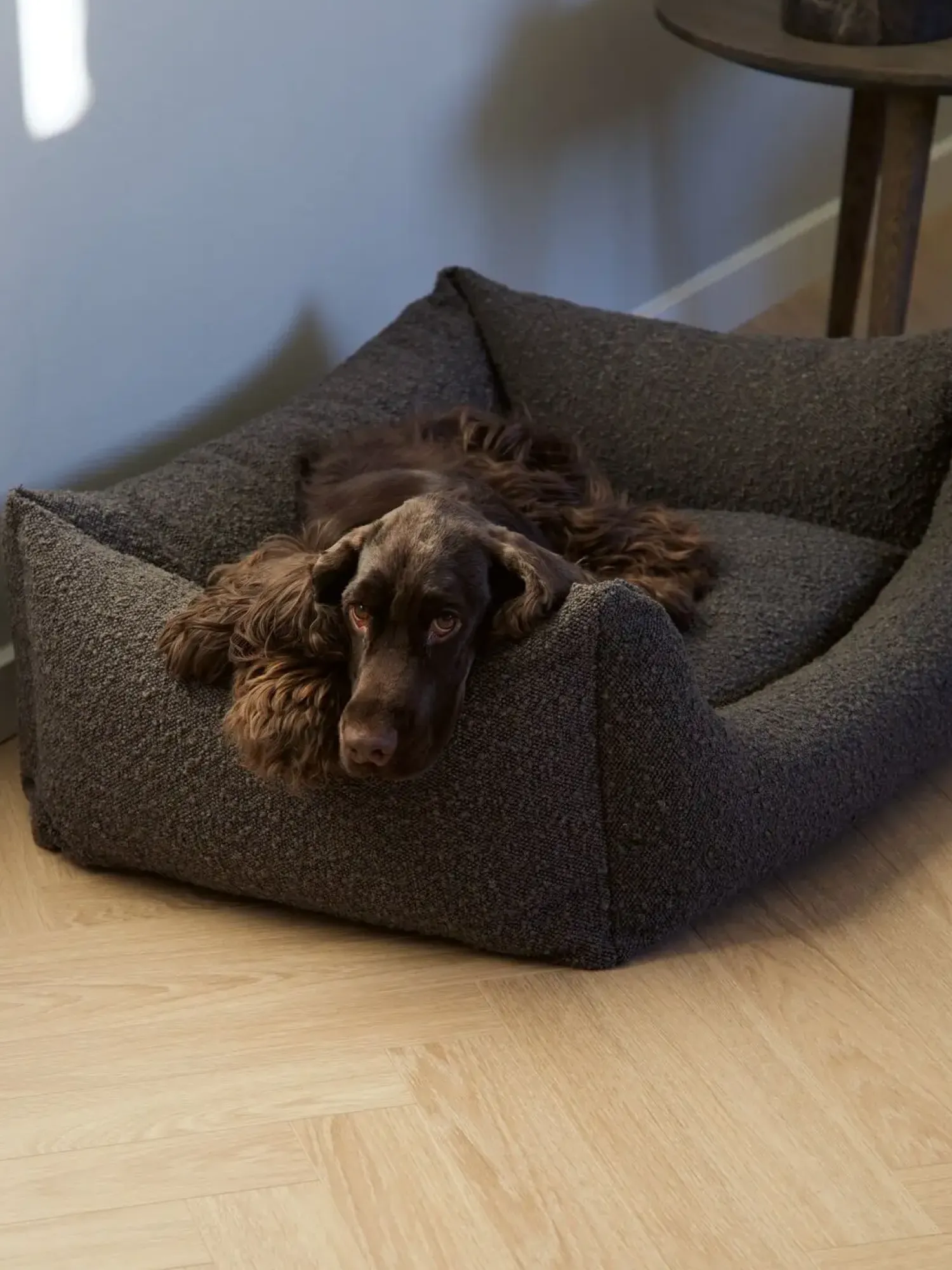 - Billy Bouclé hundeseng Mocca - Large - 100 x 78 x 28 cm*Nordog Online