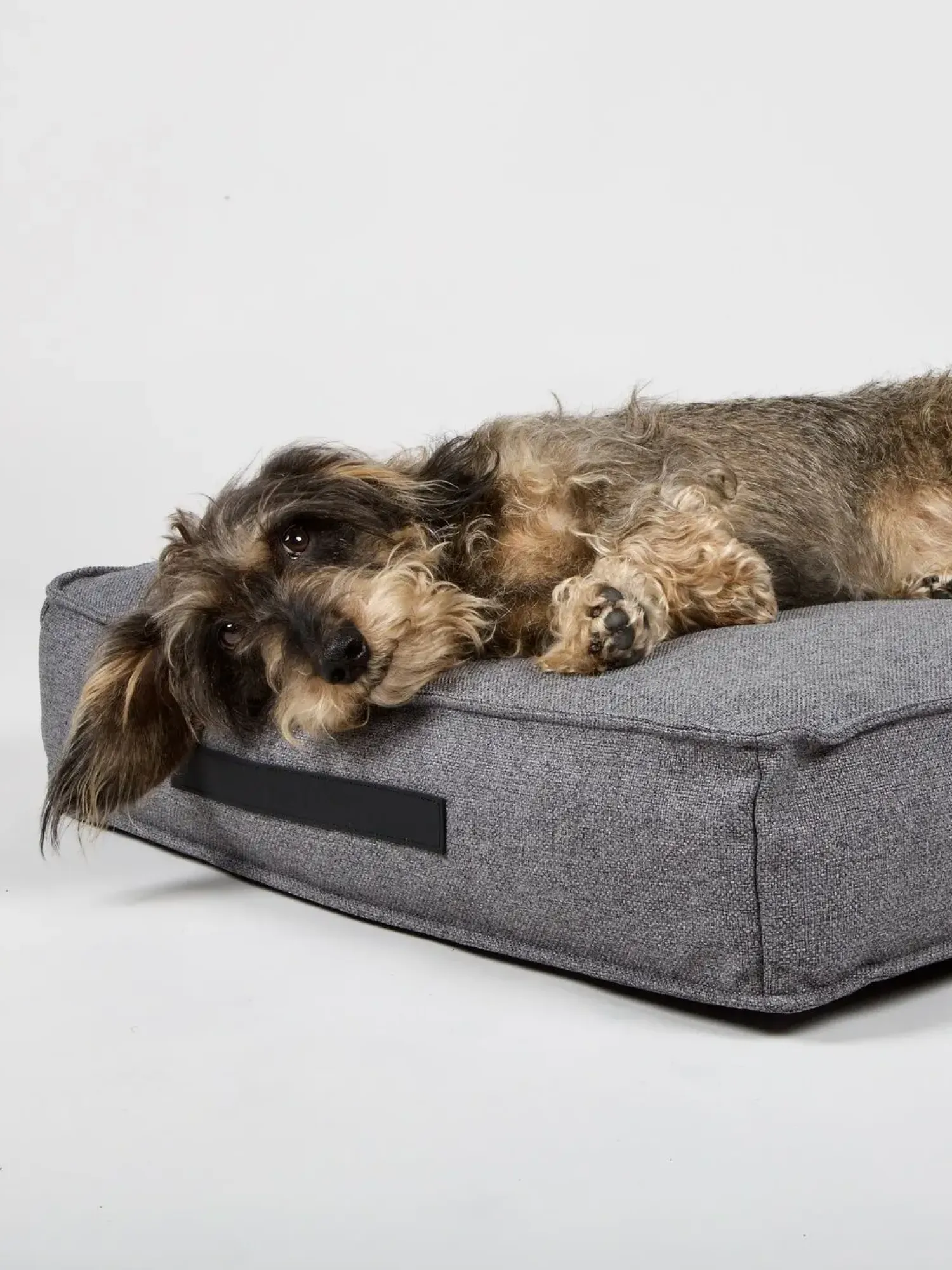 - Hundepude HYGGE Anthracite - medium^Nordog Online