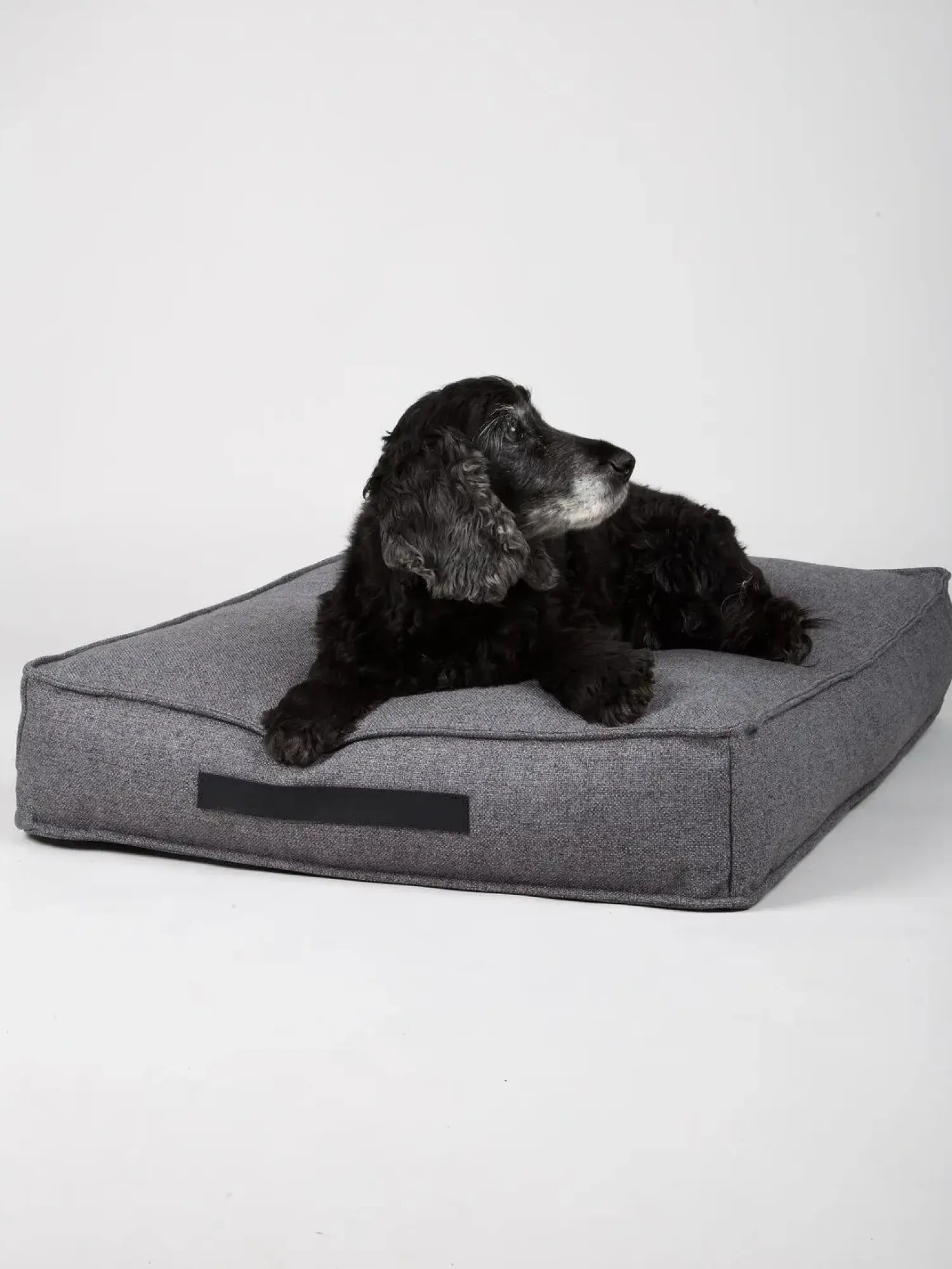- Hundepude HYGGE Anthracite - medium^Nordog Online