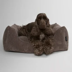 - Hundeseng - Oscar - Velvet - Mocca - Small*Nordog Outlet