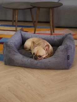 - Hundeseng - Oscar - Velvet - Anthracite - Medium*Nordog Outlet