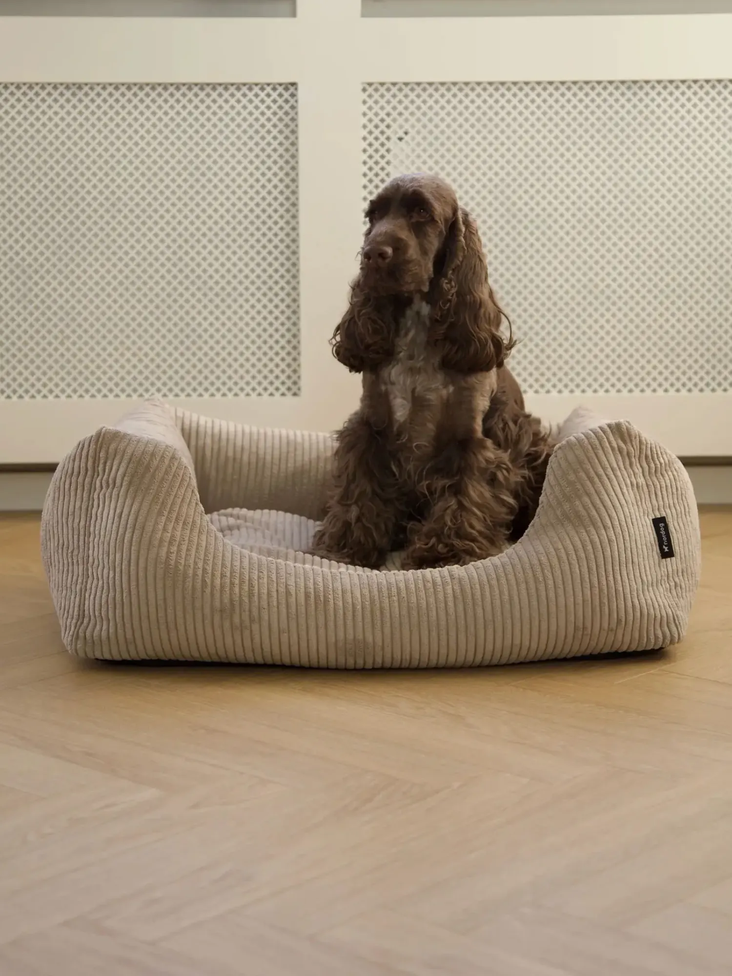 - Hundeseng - Oscar - Velvet - Cappuccino - Large^Nordog Discount