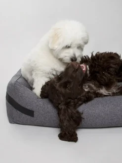 - Hundeseng HYGGE Anthracite - small*Nordog Best