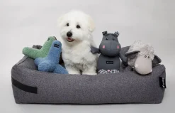 - Hundeseng HYGGE Anthracite - small*Nordog Best