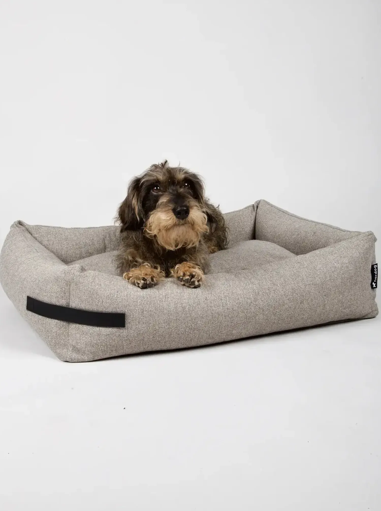 - Hundeseng HYGGE Cappuccino - small^Nordog Discount