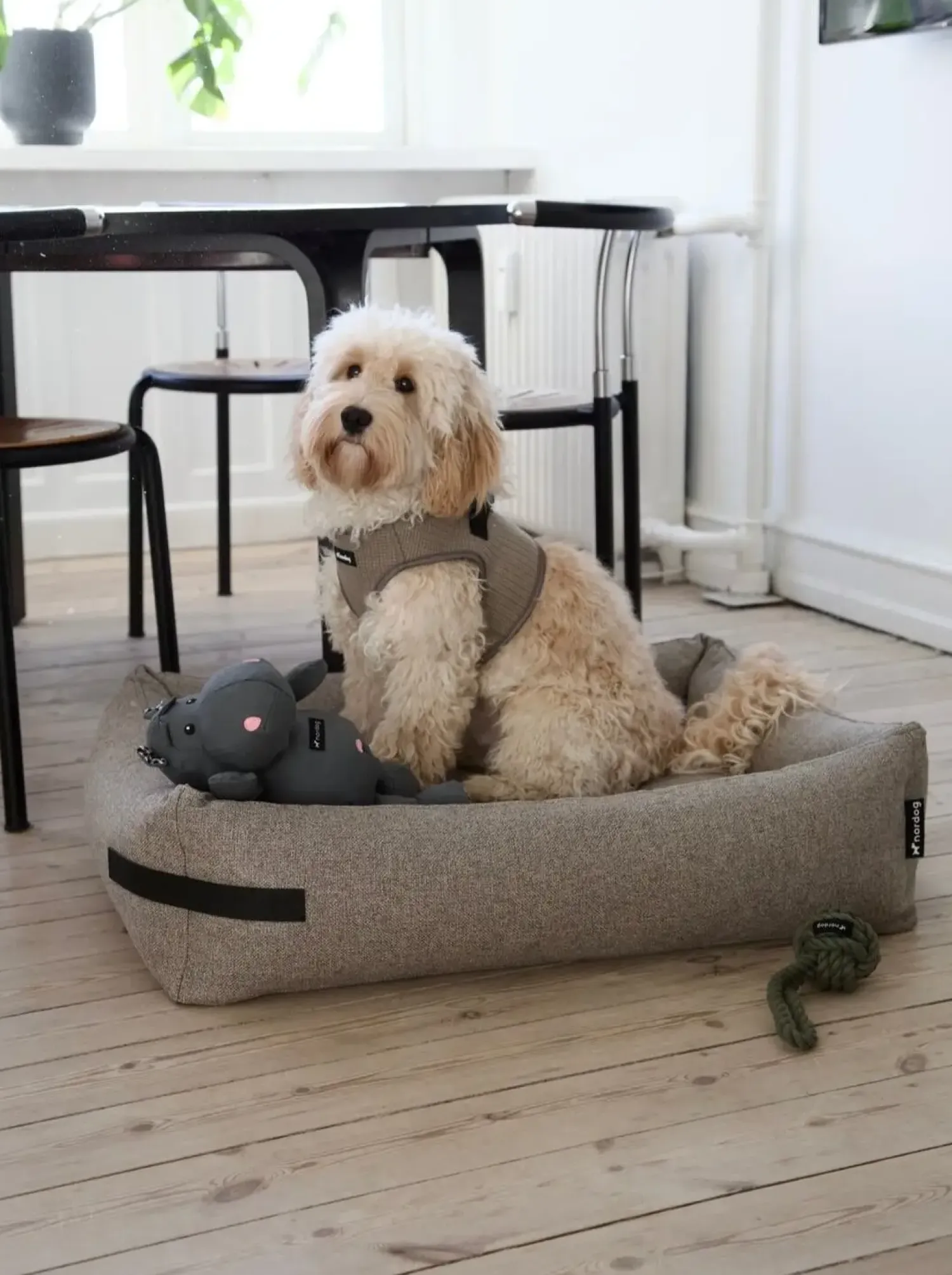 - Hundeseng HYGGE Cappuccino - small^Nordog Discount