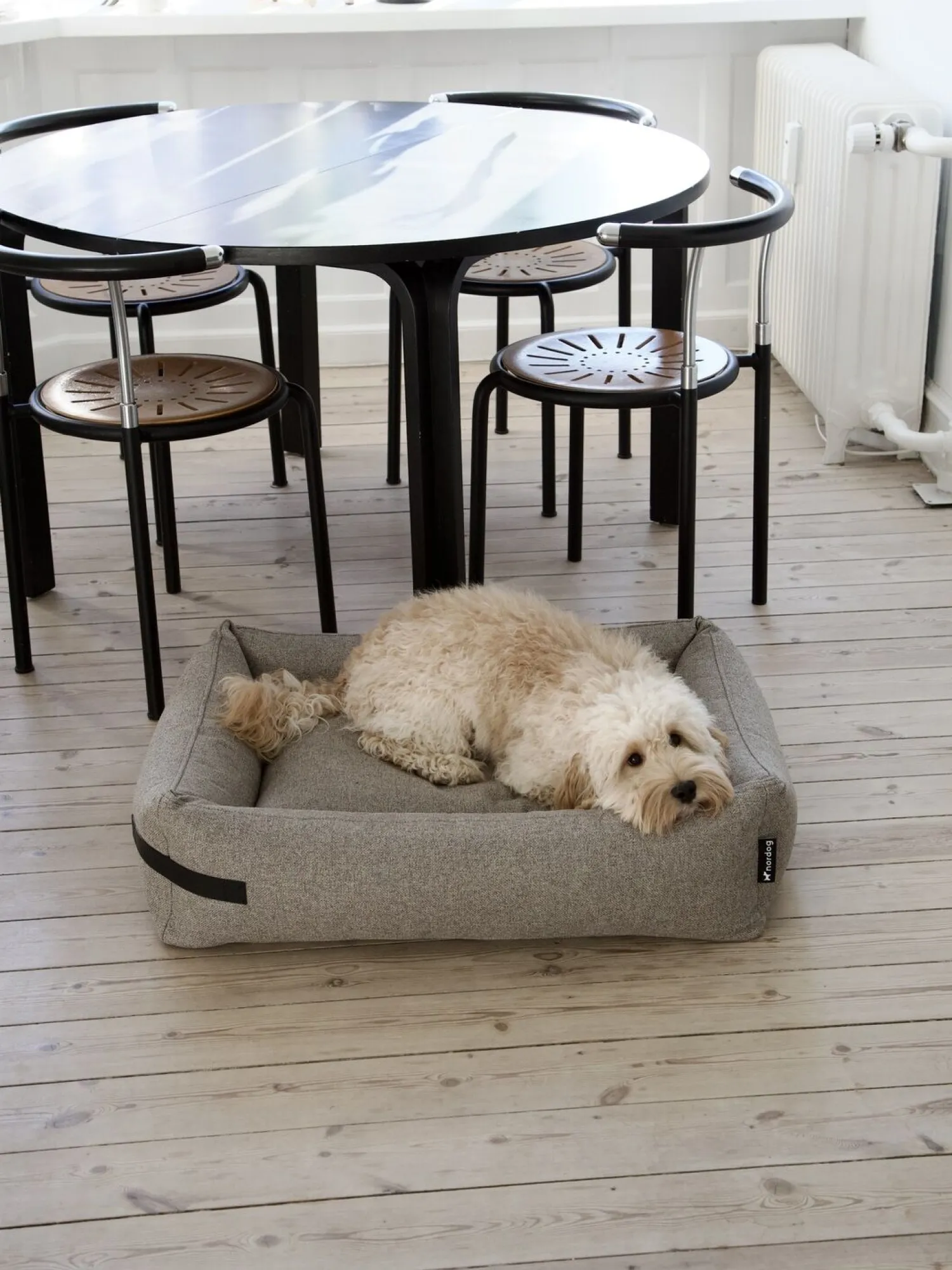 - Hundeseng HYGGE Cappuccino - small^Nordog Discount