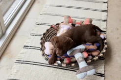 Zoo - Ashi Hundelegetøj - Large - Ice Blue/Choko^OYOY Outlet