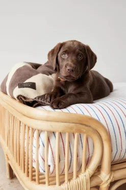 Zoo - Milo Ternet Hundepude - Small - Clay Melange*OYOY Online