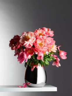 - Anais Vase M^Philippi Best